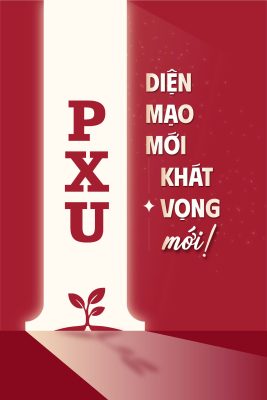 Công bố hệ thống nhận diện thương hiệu và linh vật mới của Viện Kinh Doanh Và Công Nghệ NBS